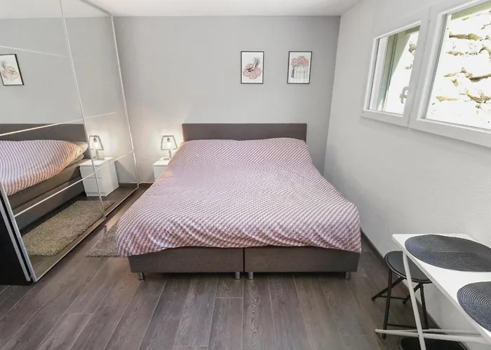 Magnifique Cosy Appartement Grandcour