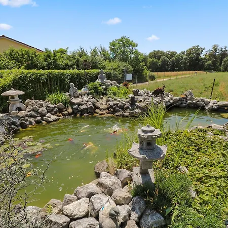 Magnifique Cosy Apartamento *