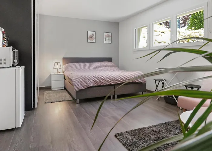 Appartamento Magnifique Cosy *